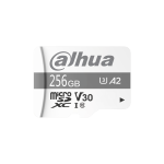 Dahua DHI-TF-L100-256GB